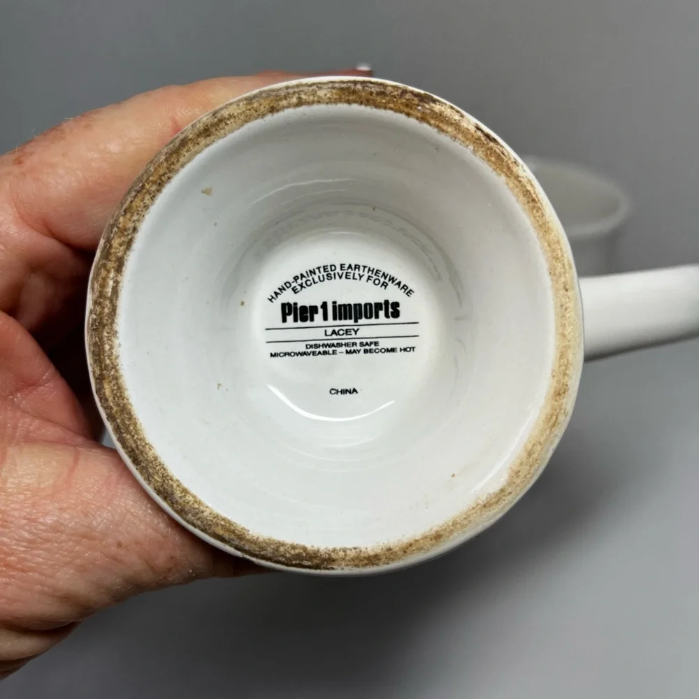 Pier 1 Lacey Mugs